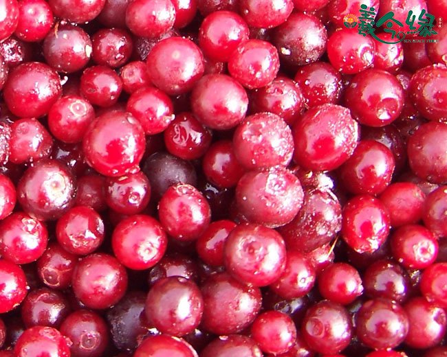 Frozen Cranberry