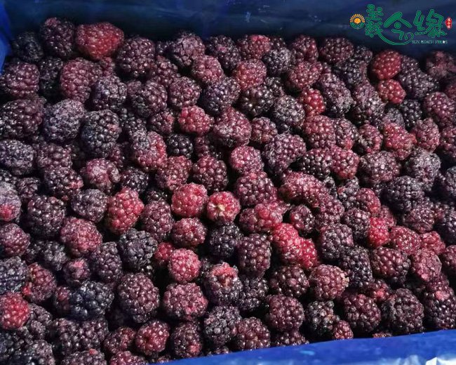 Frozen Blackberry
