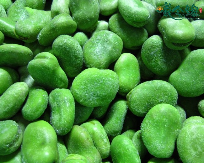 Frozen green broad bean