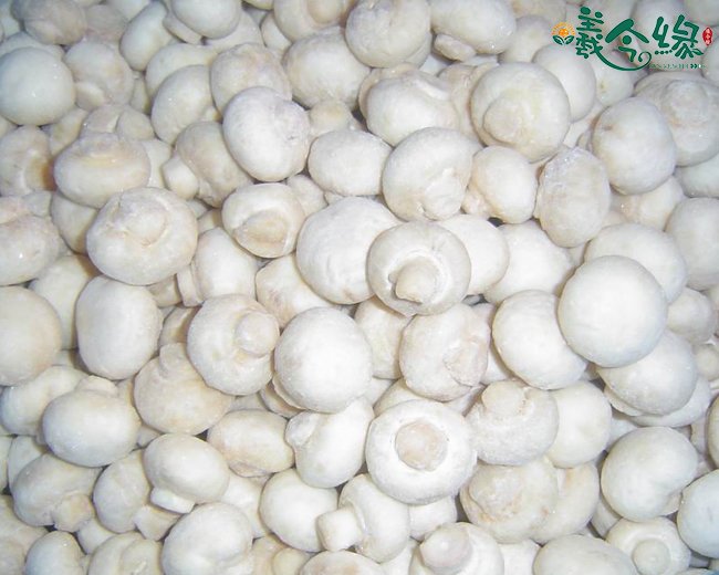 Frozen Mushroom Whole