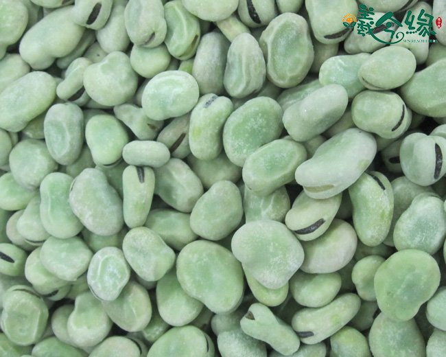 Frozen white broad bean